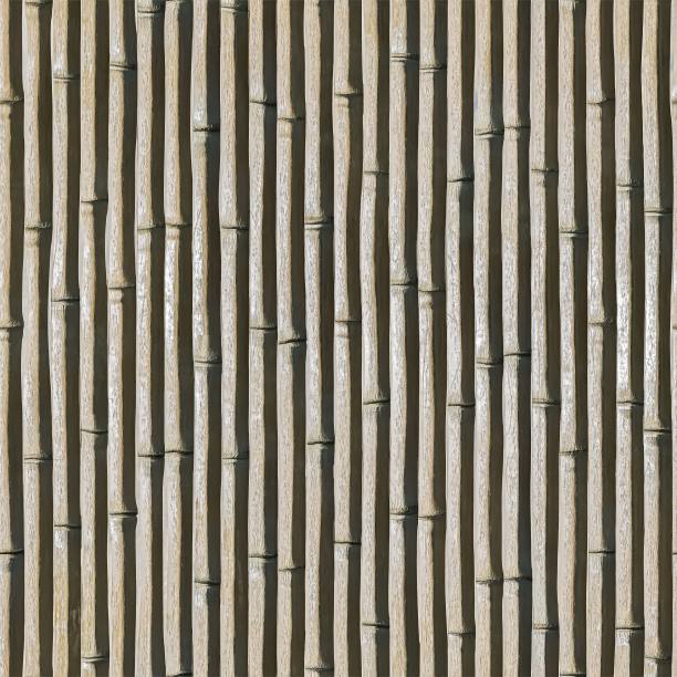 Hi - res竹质地图片下载