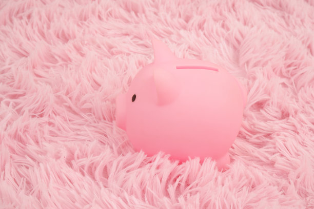 粉色地毯上的粉色储蓄罐。图片下载