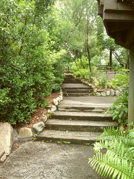 郁郁葱葱的绿色植物和树木在2024年春天的户外水边散步的穆迪电影照片图片下载