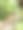郁郁葱葱的绿色植物和树木在2024年春天的户外水边散步的穆迪电影照片图片下载