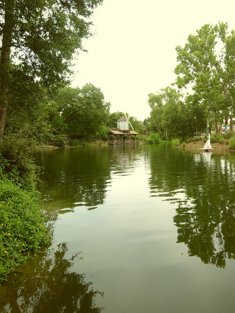 郁郁葱葱的绿色植物和树木在2024年春天的户外水边散步的穆迪电影照片图片下载