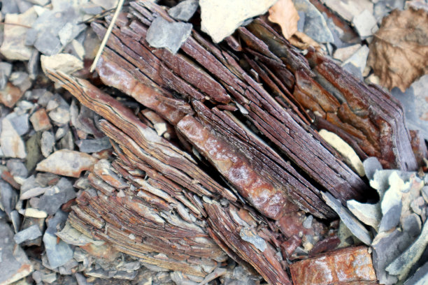 照片的石头纹理。宏。不同深浅的棕色和灰色，白色。图片下载