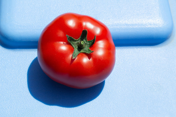 在抽象的蓝色背景上，用强光照射西红柿的照片，用于食品行业的时尚设计图片下载