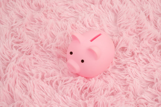 粉色地毯上的粉色储蓄罐。图片下载