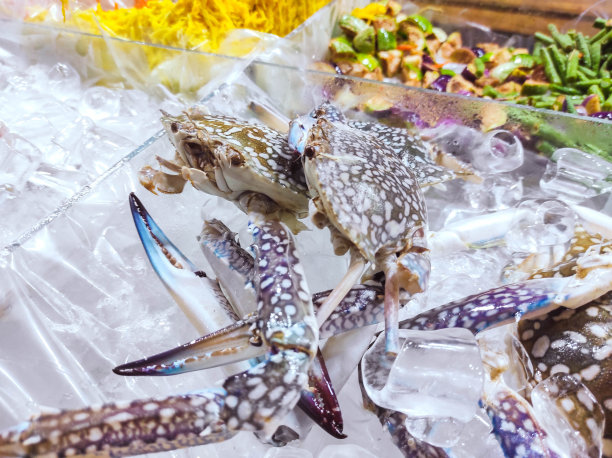 各种海鲜准备煮熟出售图片下载