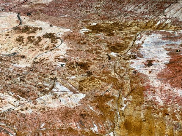 一张鸟站在沙漠岩石上的照片。图片下载