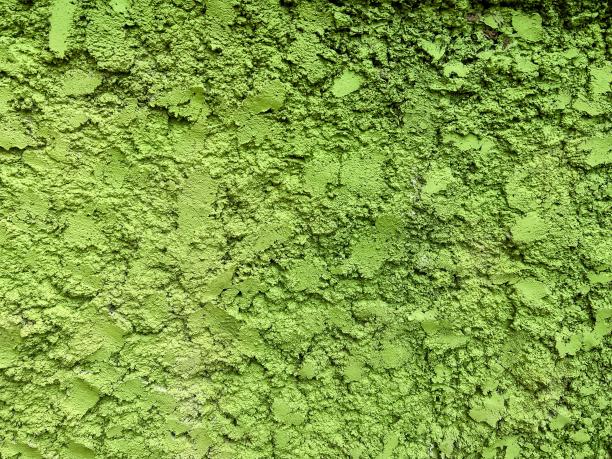 一张绿色墙壁的照片，上面涂着绿色的油漆。图片下载