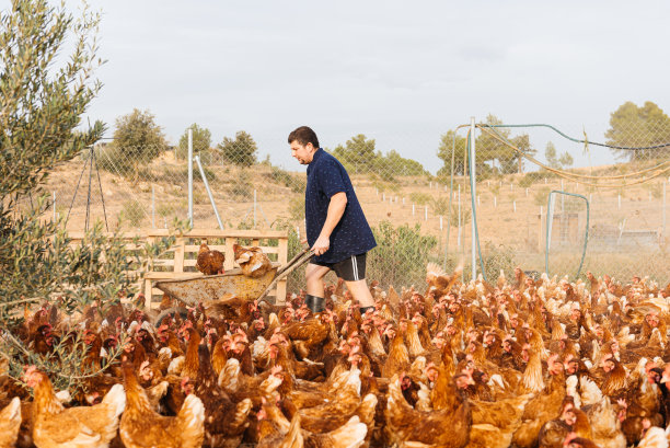 农村养鸡场的男农民推着独轮车图片下载