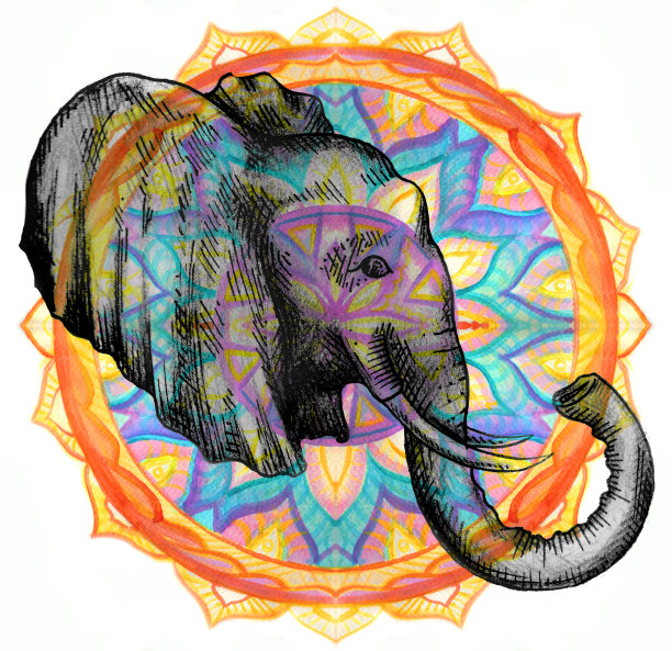 永远的大象图片下载