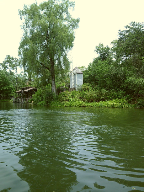 穆迪电影照片郁郁葱葱的绿色植物和树木在水的自然散步在2024年春天的户外图片下载