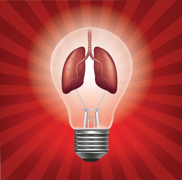 肺灯泡的图形绘制。图片下载