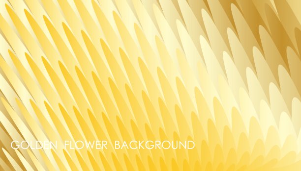 水平金色花瓣抽象背景与宏观开花植物，覆盖，网站呈现在高清格式。互联网产品网页设计的UI模板布局。向量横幅图片下载