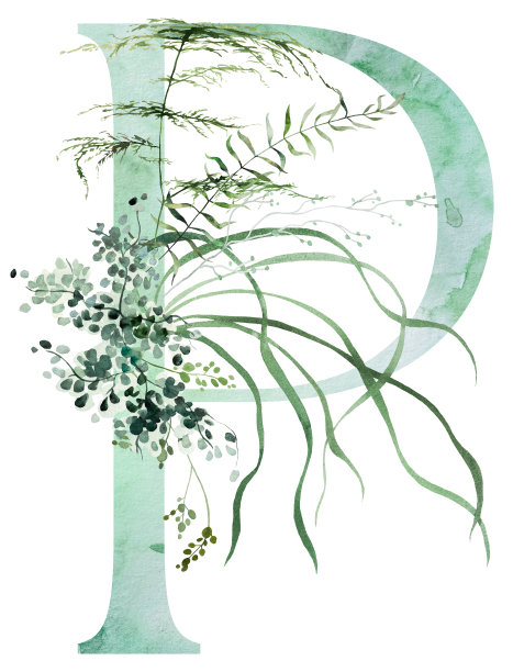 绿色字母P用水彩画异想天开的嫩叶孤立插画，婚礼元素图片下载
