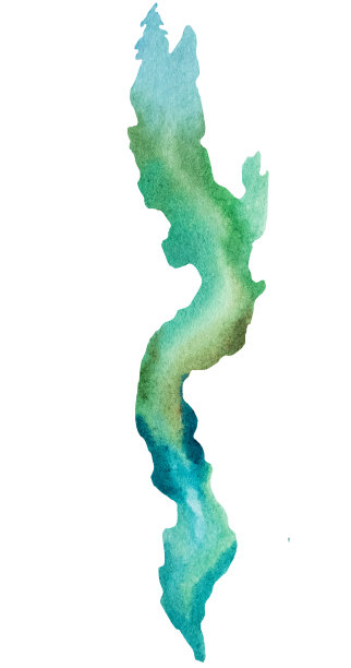 绿色水彩海藻插画，沙滩婚礼设计的孤立元素图片下载