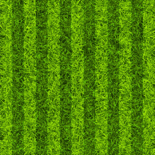 绿草如茵的足球场。带有条纹的足球场背景。运动场、运动场用人造或天然草皮。矢量图图片下载