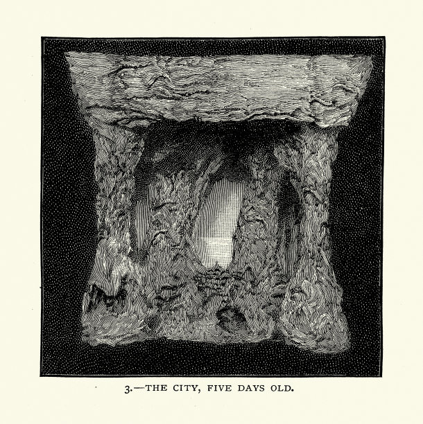 一个马蜂窝在5天大的草图，19世纪的复古插图图片下载