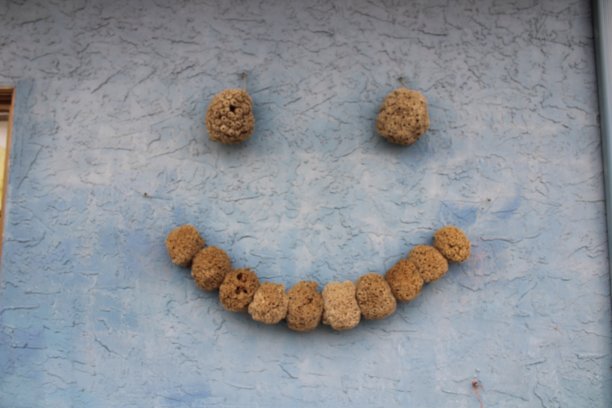 笑脸是用海绵做成的，背景是蓝色的墙图片下载