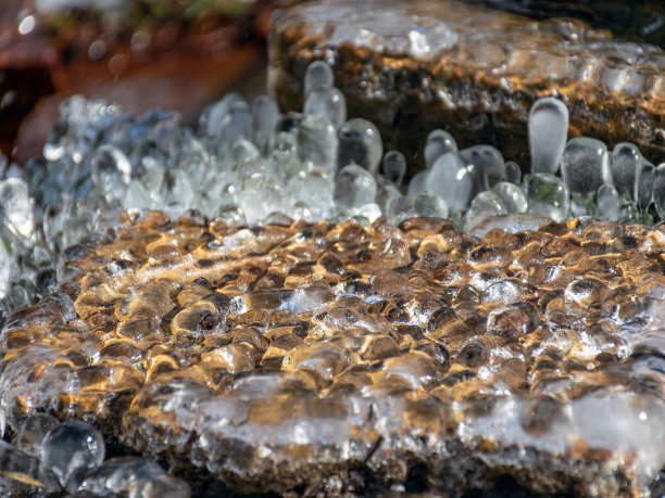 抽象的图片，冰块拥抱草和树根图片下载