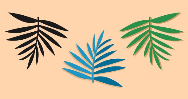 橙色背景上的热带树叶图标，图片下载