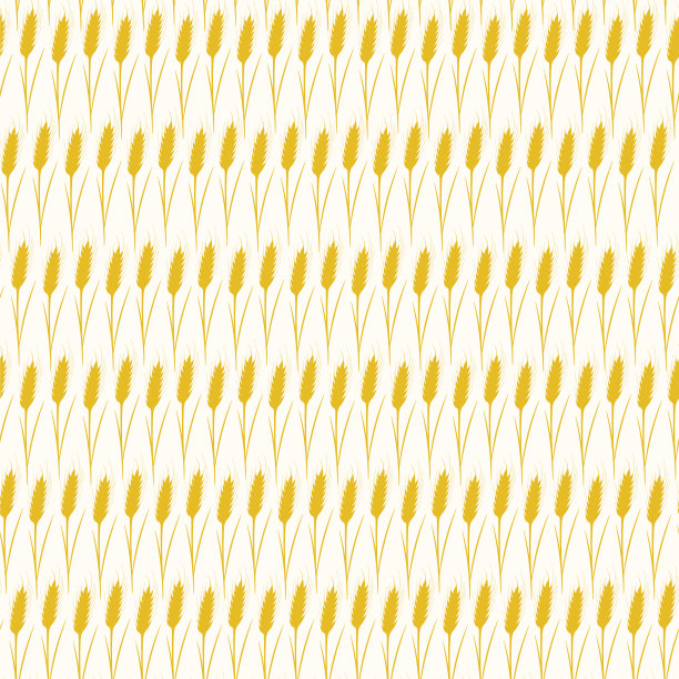 谷类小麦秸秆图案背景。小麦、黑麦或大麦的金色穗子。图片下载
