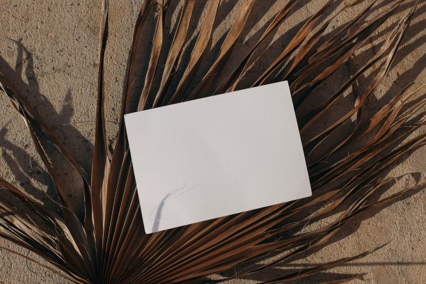 夏季异国情调的文具模型。横空贺卡，请柬上干棕榈叶。纹理砂岩背景在阳光下。热带风格的照片，网页横幅。长长的影子。平躺，顶部图片下载