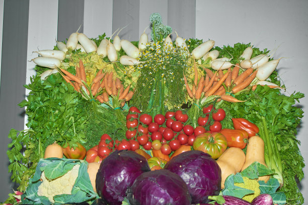 充满活力的有机农产品收藏图片下载