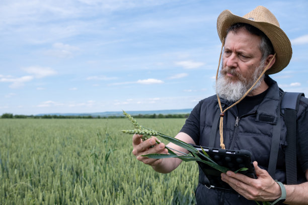 麦田里的农夫。图片下载