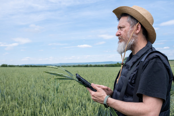 麦田里的农夫。图片下载