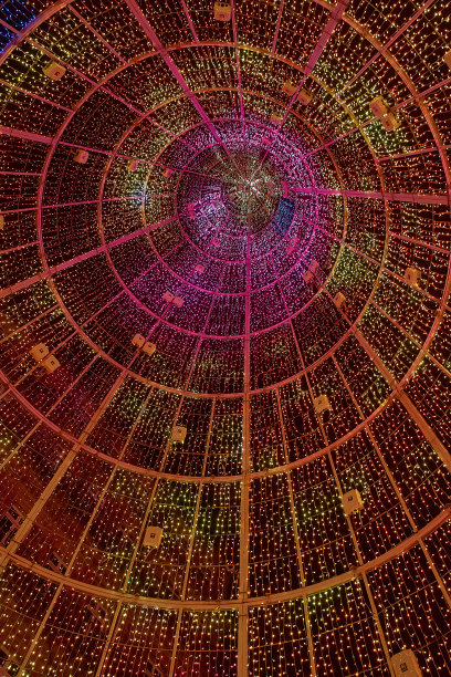 西班牙加利西亚的维戈市，圣诞彩灯下的巨大圣诞树图片下载