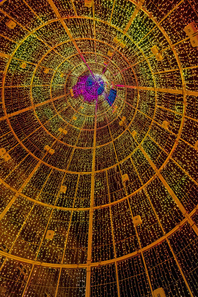 西班牙加利西亚的维戈市，圣诞彩灯下的巨大圣诞树图片下载