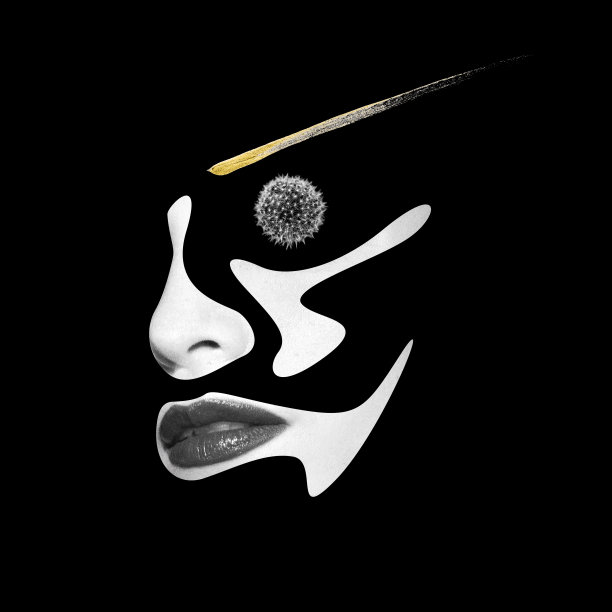 抽象和超现实的女人黑白肖像插图拼贴制成的波浪切割几何形状图片下载