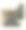 孔雀形的灌木，园艺花园，园艺学和园艺史，出自19世纪19世纪90年代的一张古董照片，图片下载