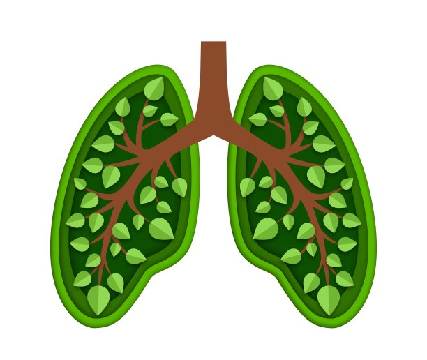 肺带绿叶，孤立病媒剪纸图片下载