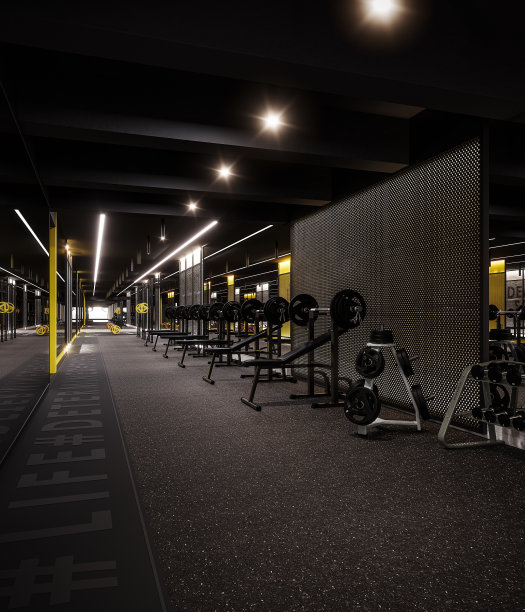 现代健身房室内设计。工业健身房概念设计。图片下载