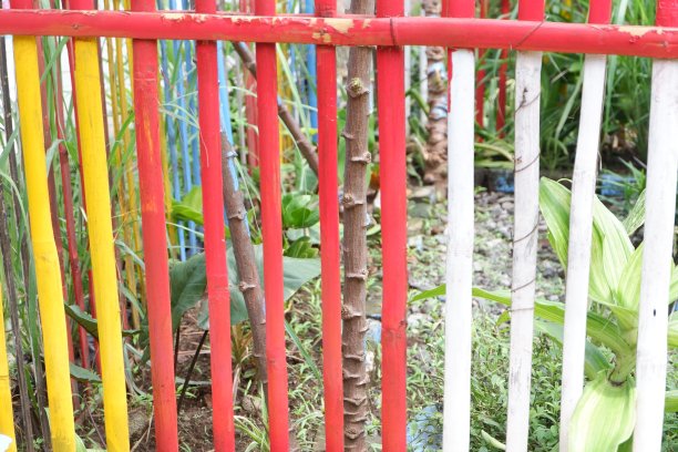 园林中竹林的质感图片下载