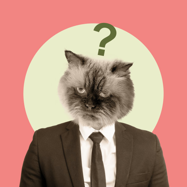 困惑的商务猫带着问号图片下载