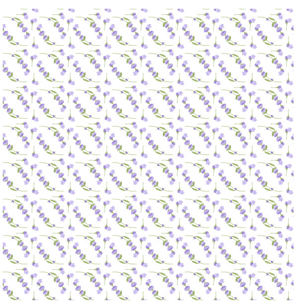 薰衣草的小枝。紫色的花。无缝模式。图片下载