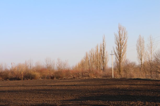 一片有树和灯柱的田野图片下载