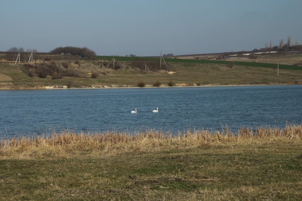 一片有草的水域，周围有栅栏图片下载