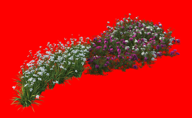 花卉三维渲染图片下载