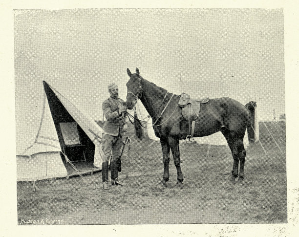 军事历史，维多利亚时期的英国陆军士兵，上尉带马，诺森伯兰燧发枪兵团第一志愿军营，19世纪90年代，19世纪复古照片图片下载