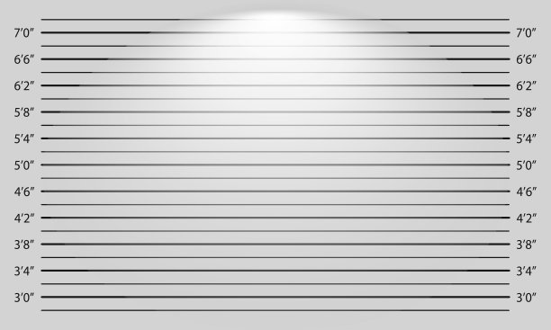 用灯光效果排列照片模板。窃贼的背景资料。警用寸高图，用以辨认通缉、被捕或怀疑人士的照片。矢量图图片下载