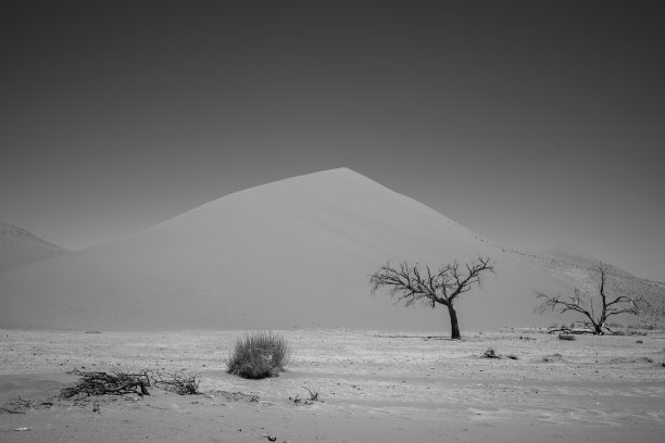 纳米比亚沙漠风景的黑白照片。图片下载