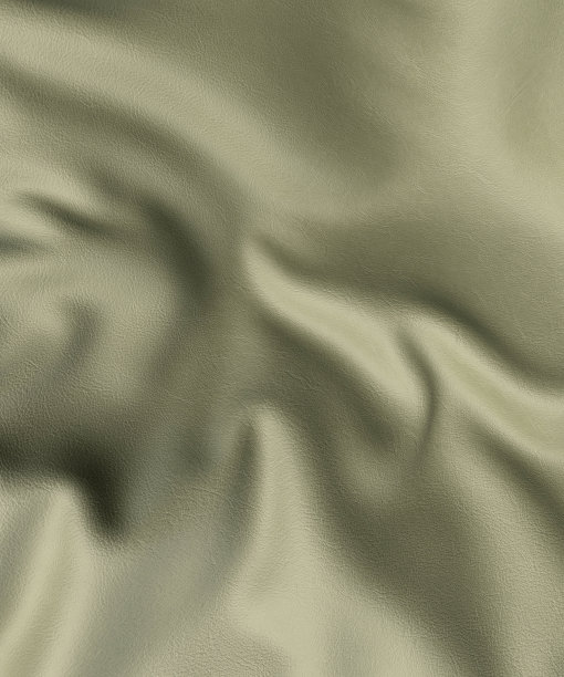 绿色皮革片近3d渲染图片下载