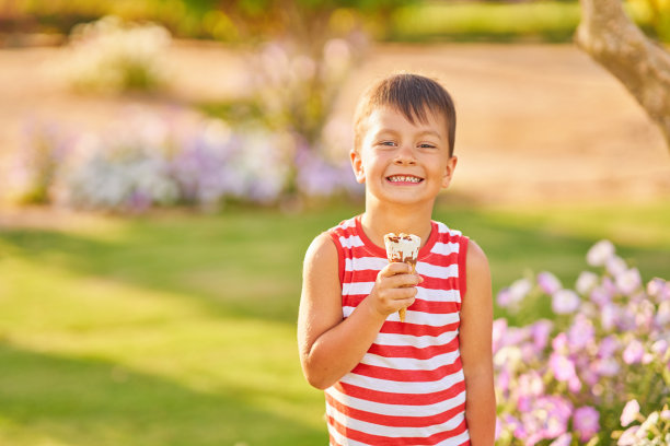 小男孩拿着冰淇淋蛋筒的照片图片下载