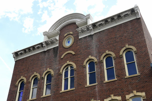 枯枝SD图片下载