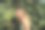 开朗的年轻女子在充满活力的仙人掌周围摆姿势图片下载