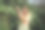 美丽的年轻女子在充满活力的仙人掌周围摆姿势图片下载