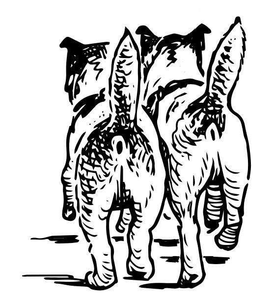 狗，梗，宠物，二，在一起，家养动物，行走，可爱，后视图，逼真，素描，手绘，矢量，隔离上白图片下载