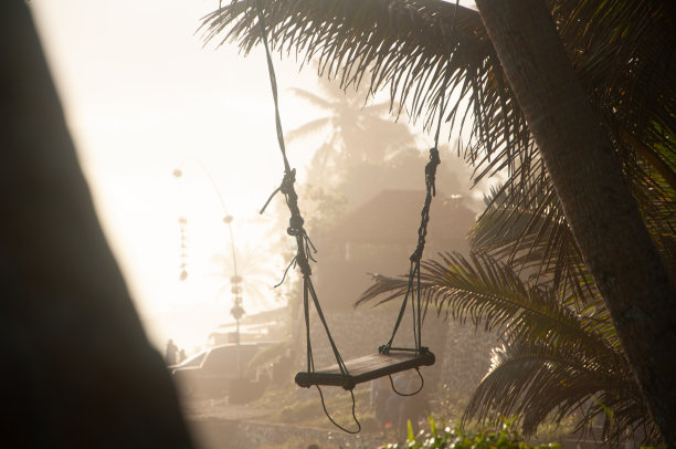 夏天共鸣图片下载